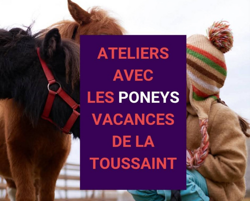 ATELIERS PONEYS VACANCES TOUSSAINT ATELIERS PONEYS VACANCES TOUSSAINT