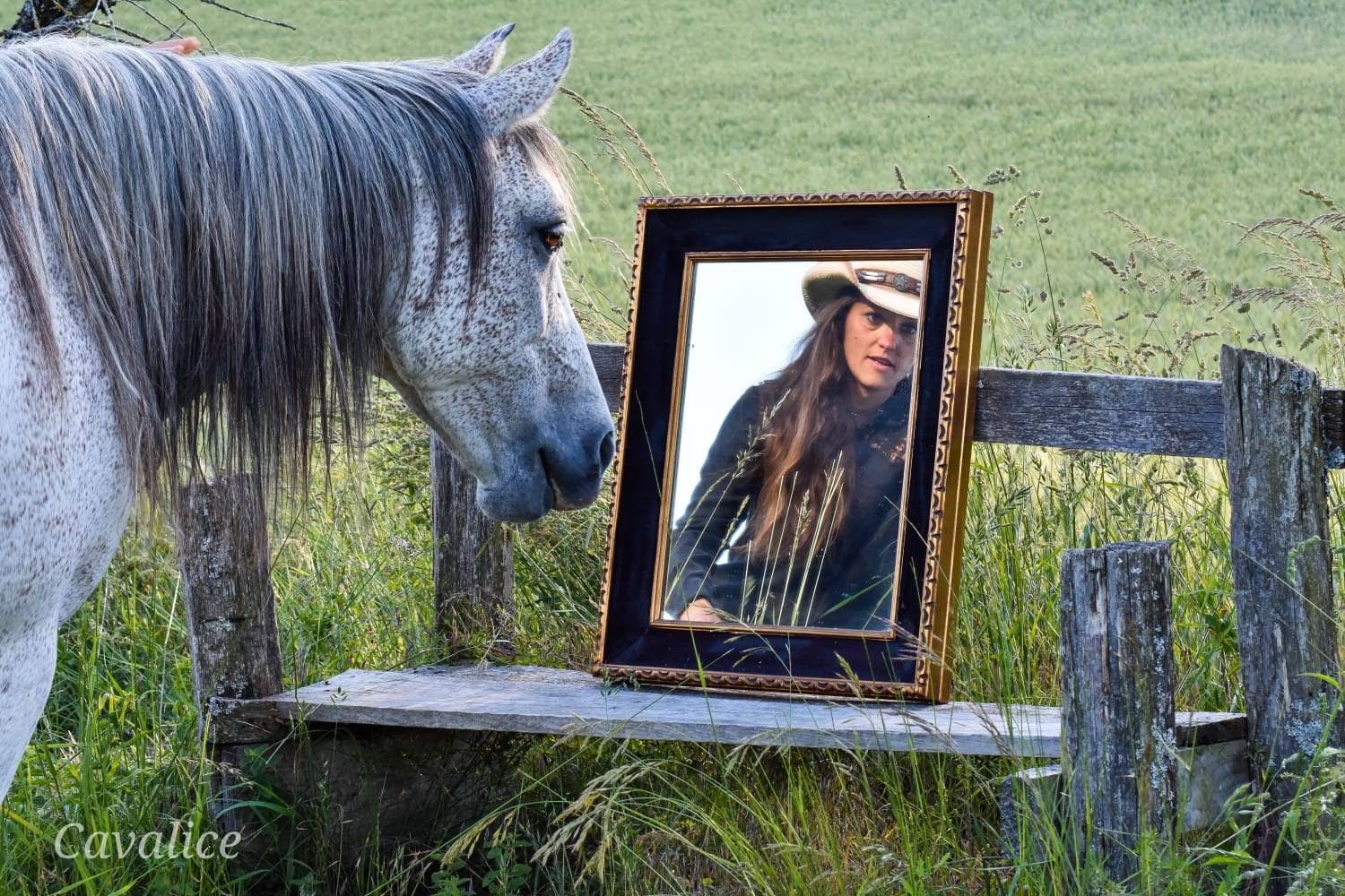 Equicoaching 4 Equicoaching 4