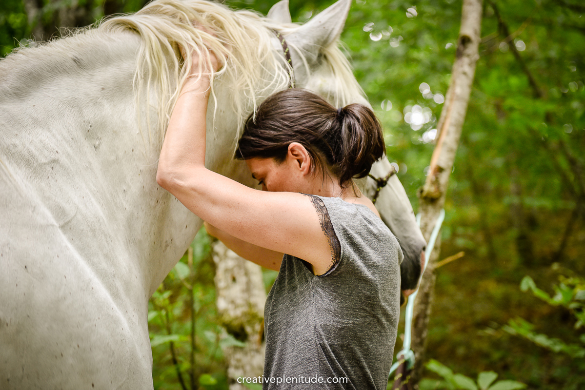 Equicoaching chevaux bien-être Equicoaching chevaux bien-être